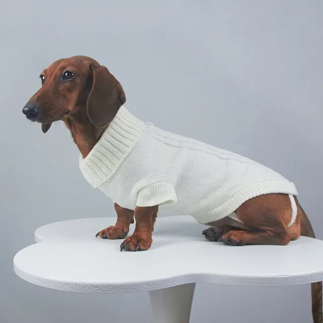 Dog Turtleneck Sweater 3