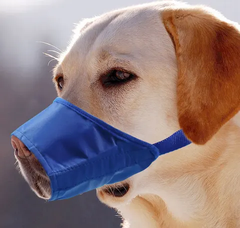 Anti-bite Anti-miseating Dog Mouth Cover Waterproof Bark Stopper