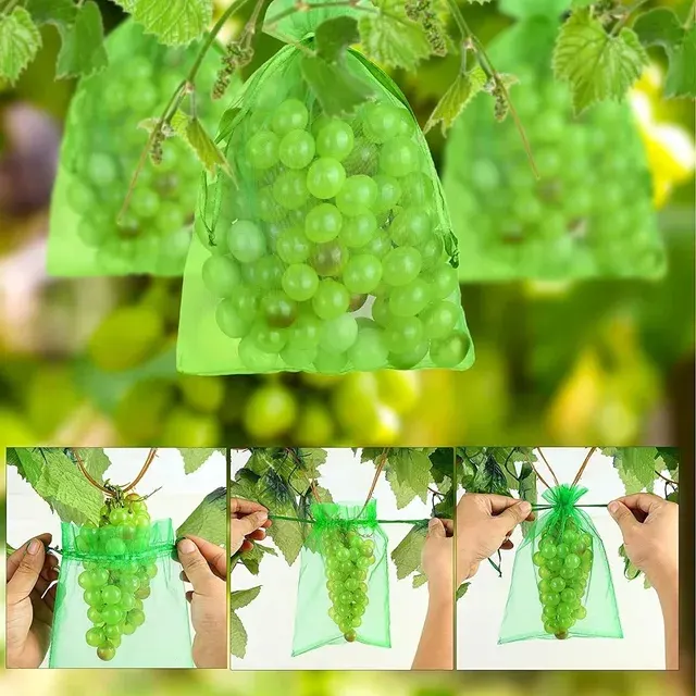 Fruit Protection Bag 2