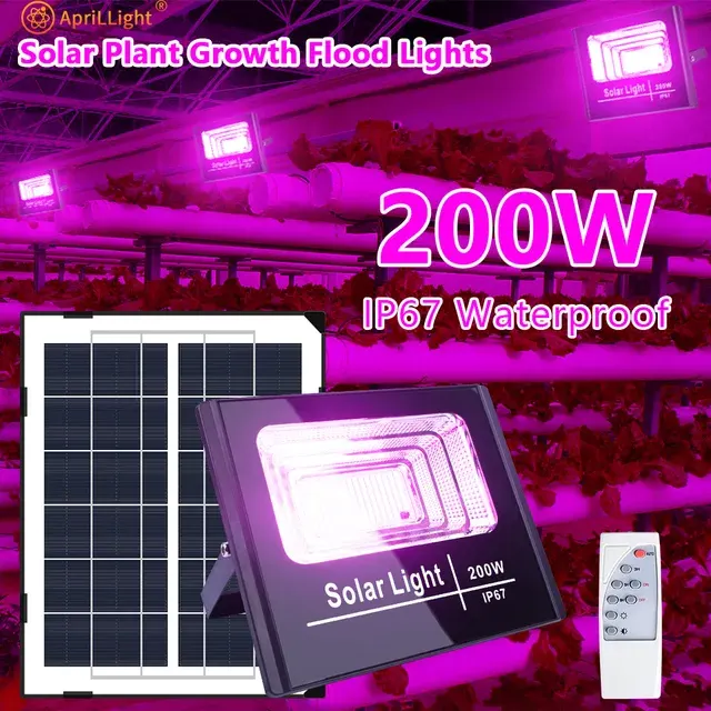 Solar-Pflanzenlampe 1