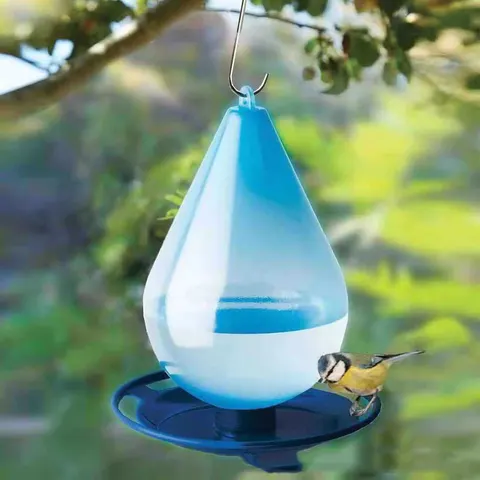 Hanging Bird Feeder With Hook