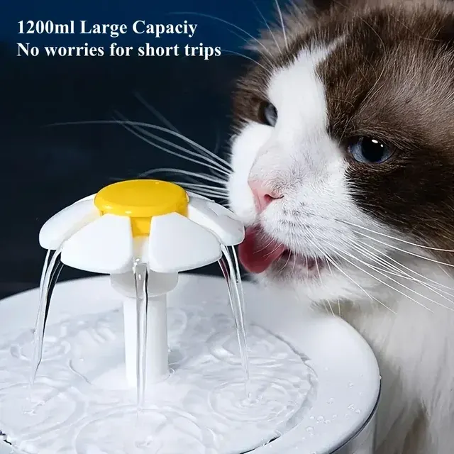 Pet Water Fountain 2