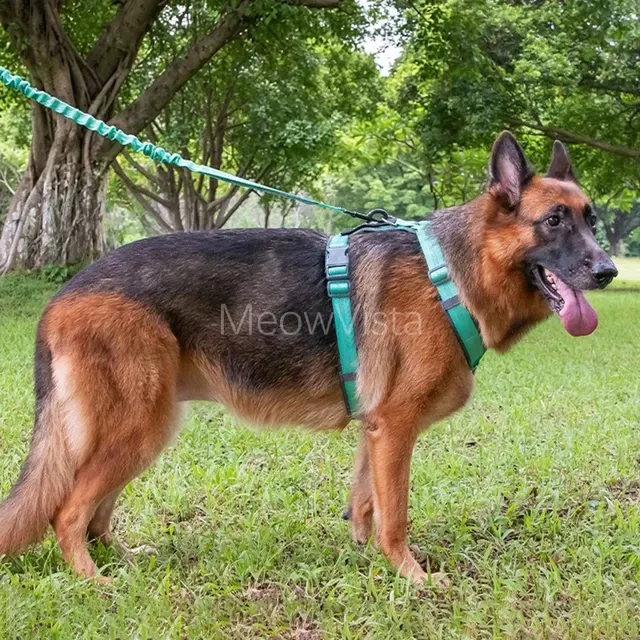 Dog Harness Set 4