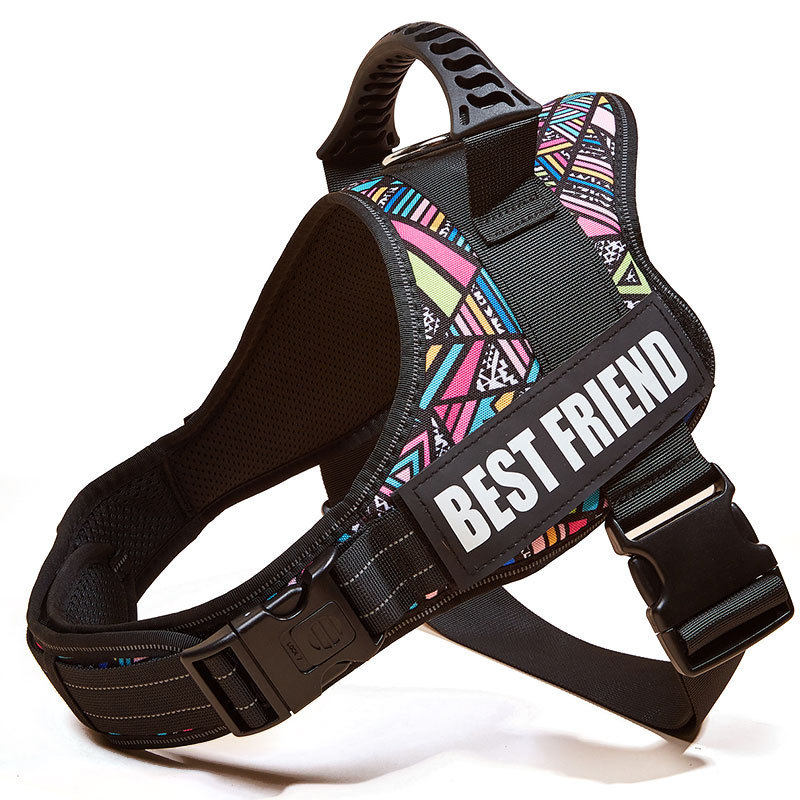 Padded Nylon No-Pull Dog Harness 2