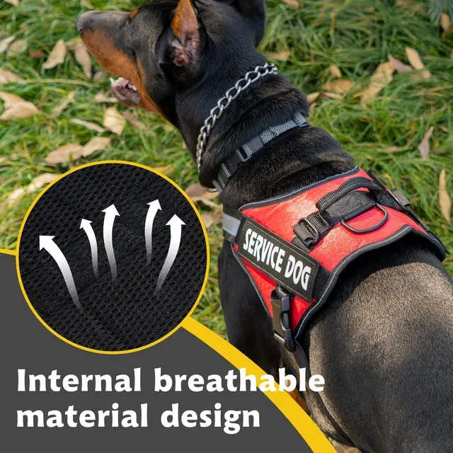 Dog Harness 4