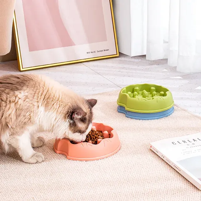 Slow Feeder Dog Bowl With Design 2