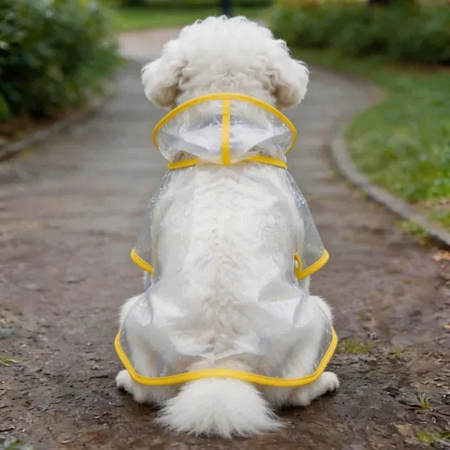 Hunde-Regenmantel Transparenter Ganzkörper-Überzug Wasserdichtes Weiches EVA-Hunde-Regenschutz-Accessoire für Regentage 4