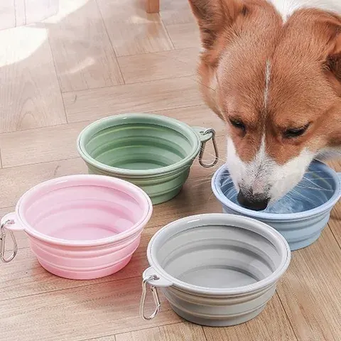 Collapsible Dog Bowl