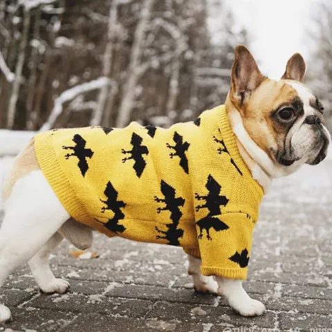 Haustierpullover