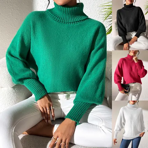 Turtleneck Sweater With Lapel