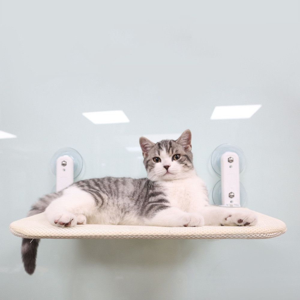 Katzen-Fensterliege