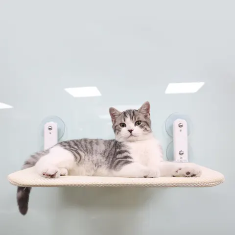 Cat Window Perch