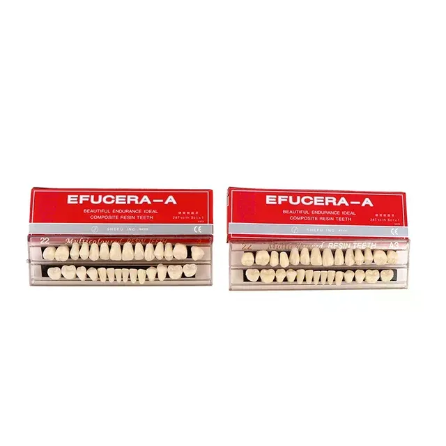 Artificial Teeth Set 4