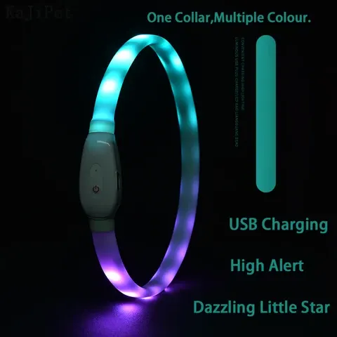 LED dog collar