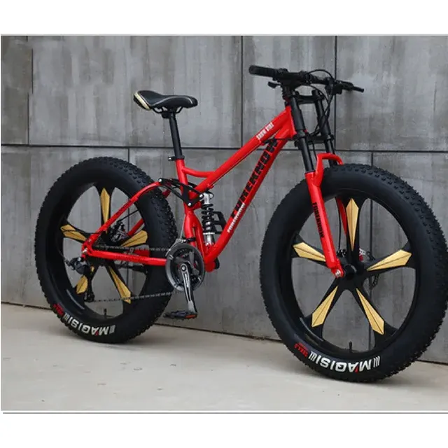 Fat Tire Bike 2
