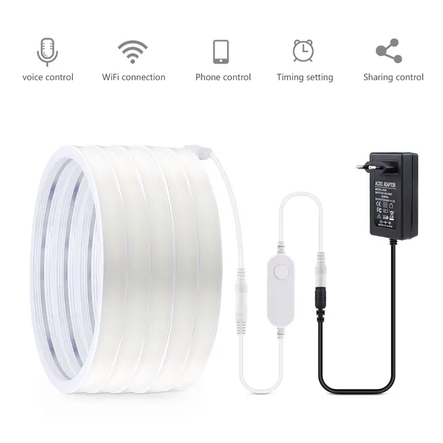 Neon LED Strip 2