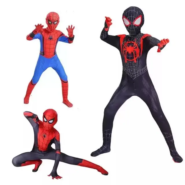 Cosplay Costume 2
