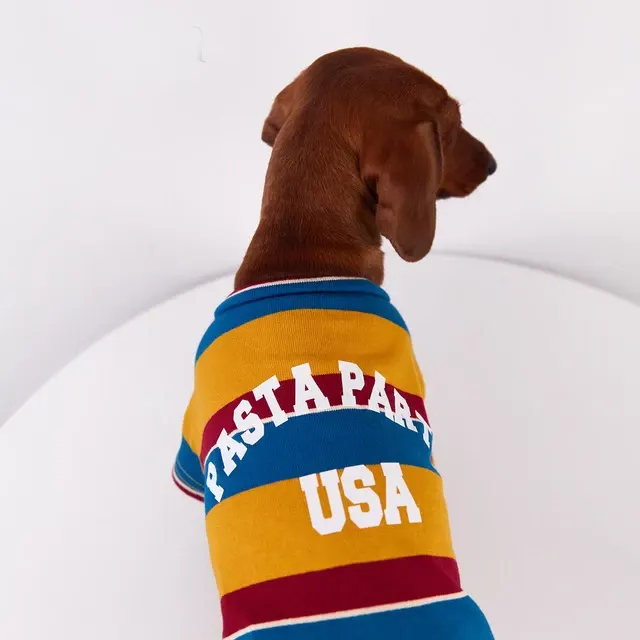 Dog T-Shirt 3