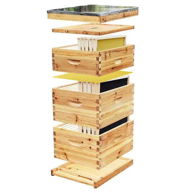 Langstroth Beehive Set 2