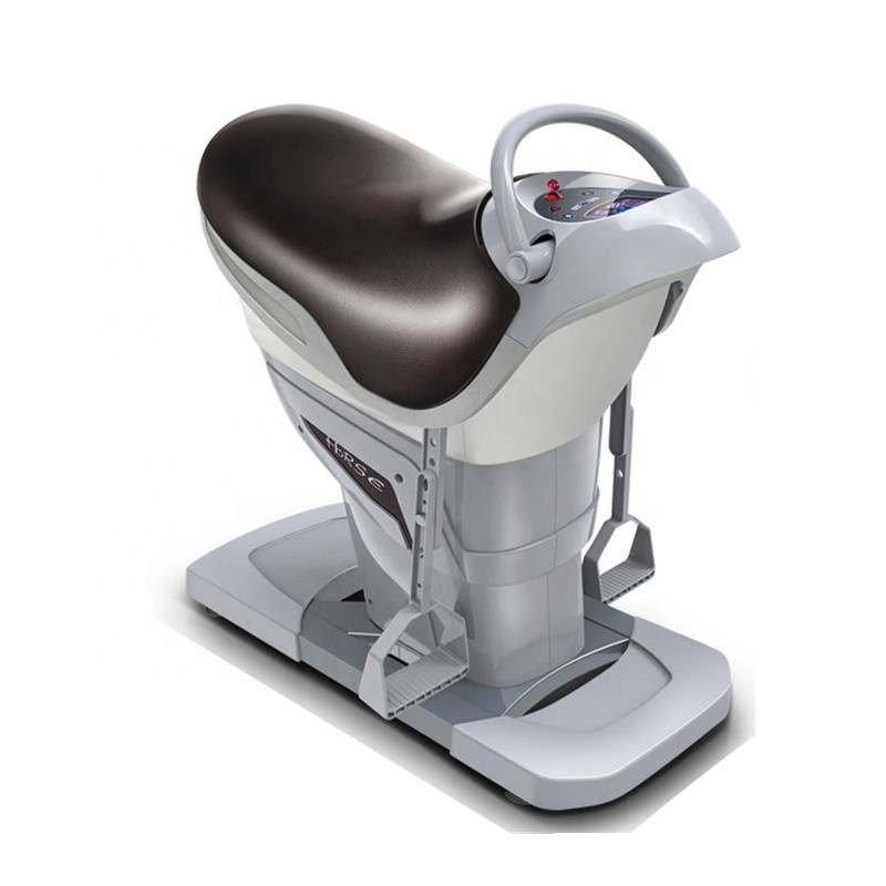 Electric Horse Riding Fitness Machine Home 2