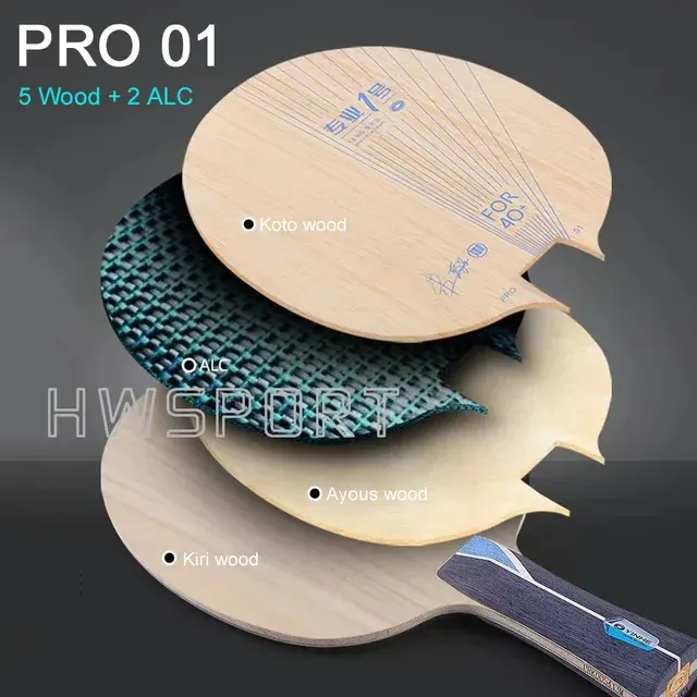 Table Tennis Paddle 2