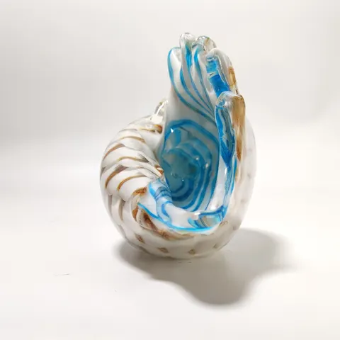 Seashell Decoration