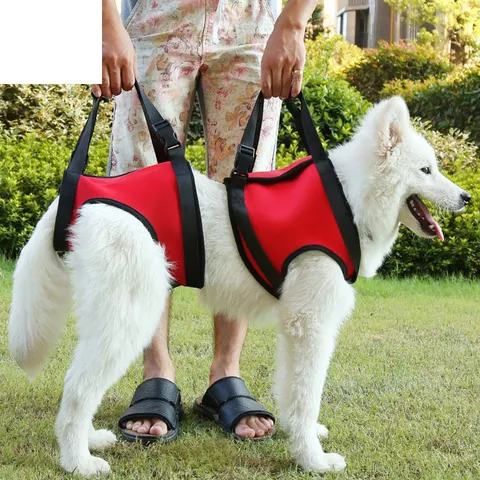 Dog Hind Leg Harness