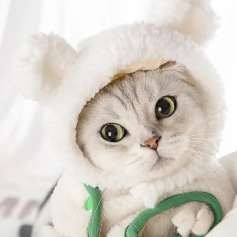 Animal Costume Hat