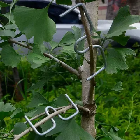50-teiliges Obstbaum-Astbiege-Werkzeugset Manuelle Astbiegegeräte zum Formen & Spreizen