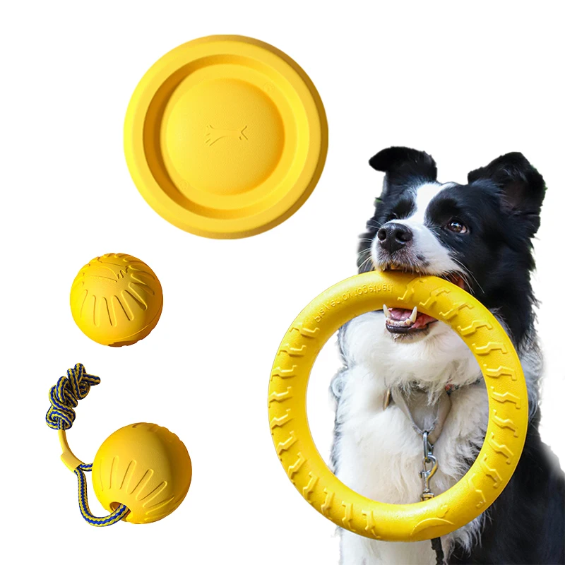 Hundespielzeug-Set