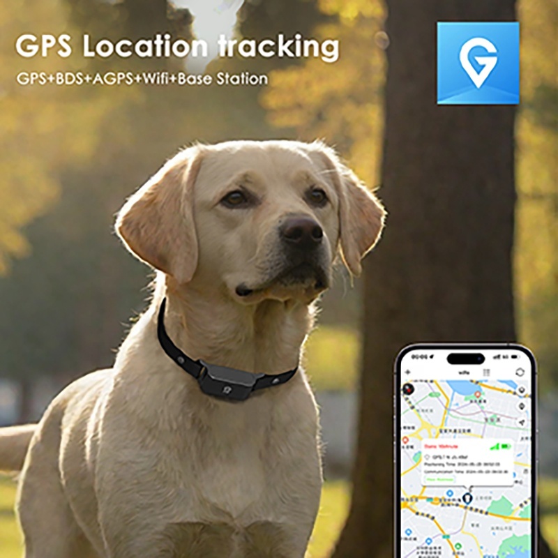Smarter Anti-Verlust-Tracker für Haustiere 3