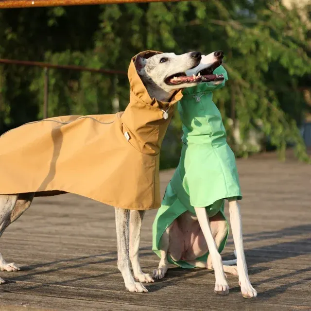 Dog Rain Coat 3
