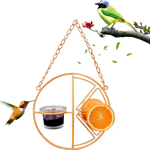 Bird Feeder
