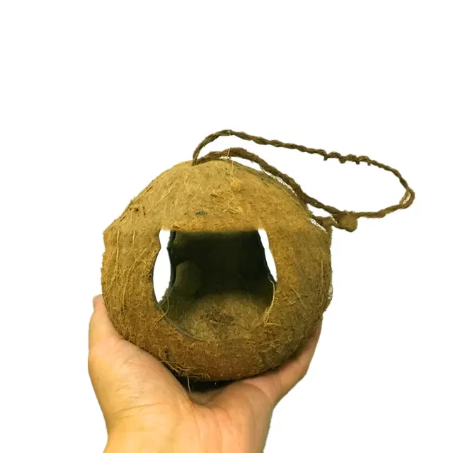 Bird Nest Feeding Station 1