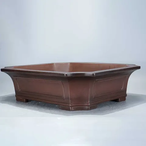 Bonsai Pot