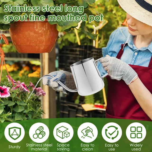 Houseplant Watering Can 2