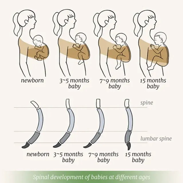 Cotton Baby Wrap Carrier, 0-36 Months 2