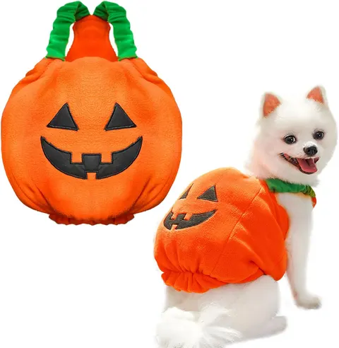 Pumpkin Halloween Costume for Pets