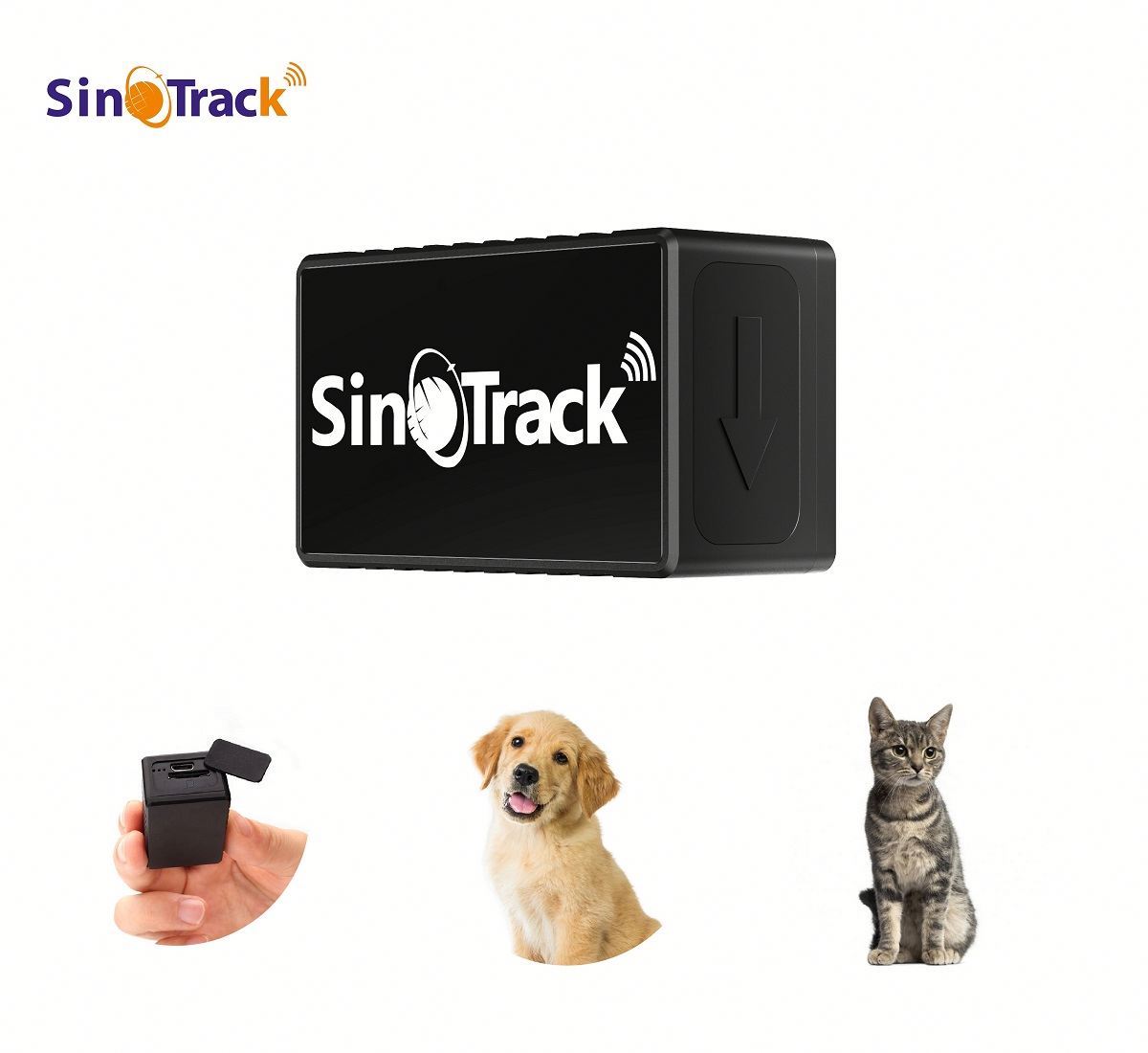 GPS-Tracker für Hunde