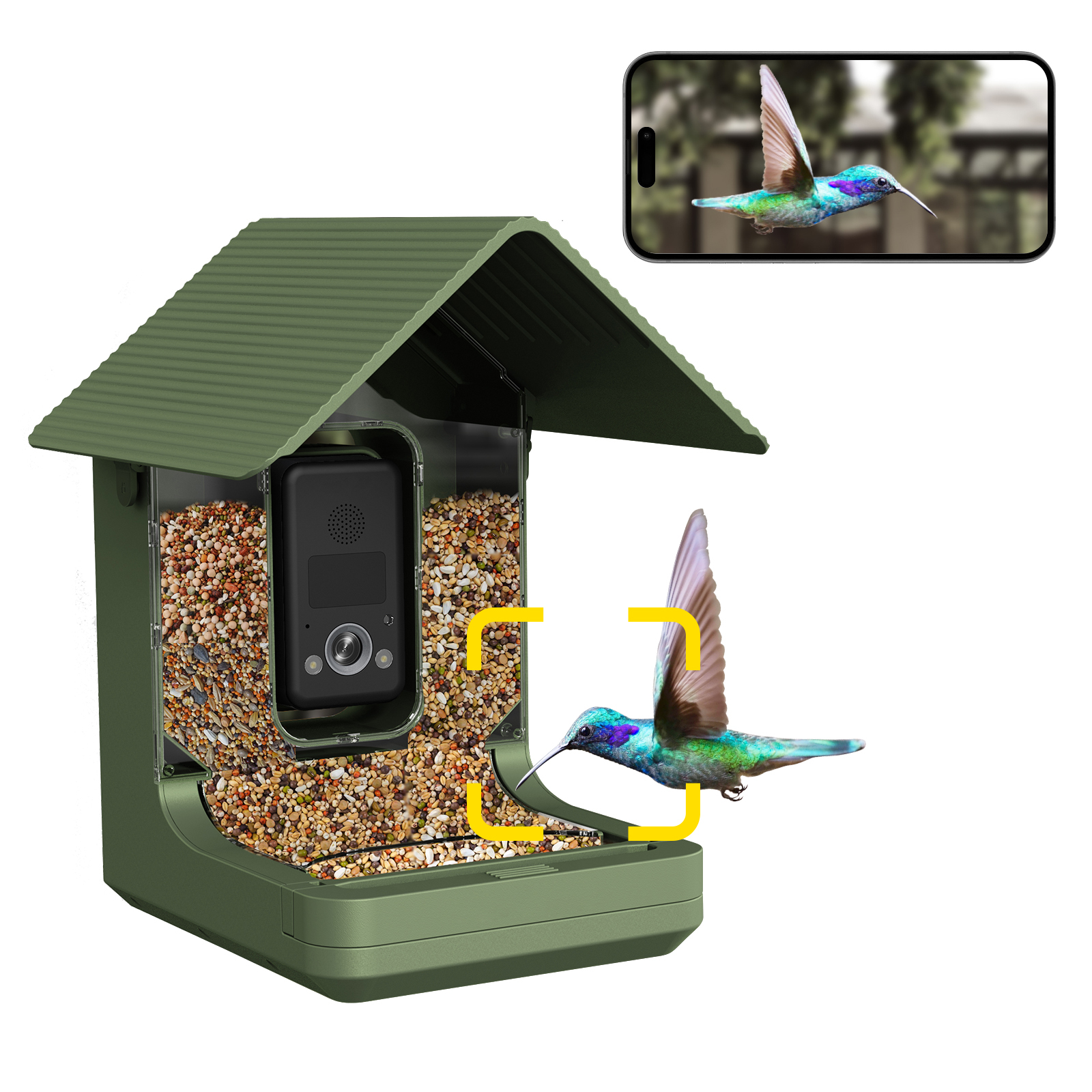 4K Ultra HD Bird Feeder With AI Species 2