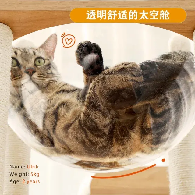 Cat Scratching Tree 4