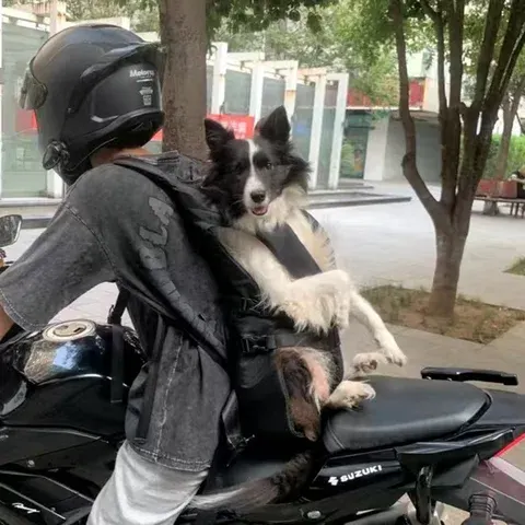 pet carrier backpack