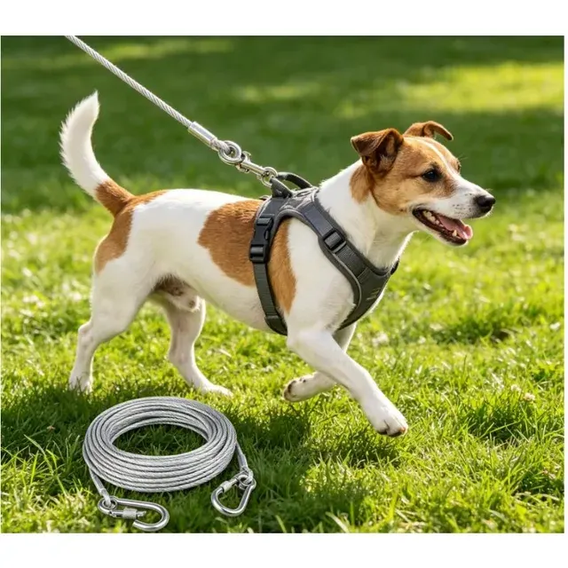Dual-Head Stainless Steel Dog Leash 3