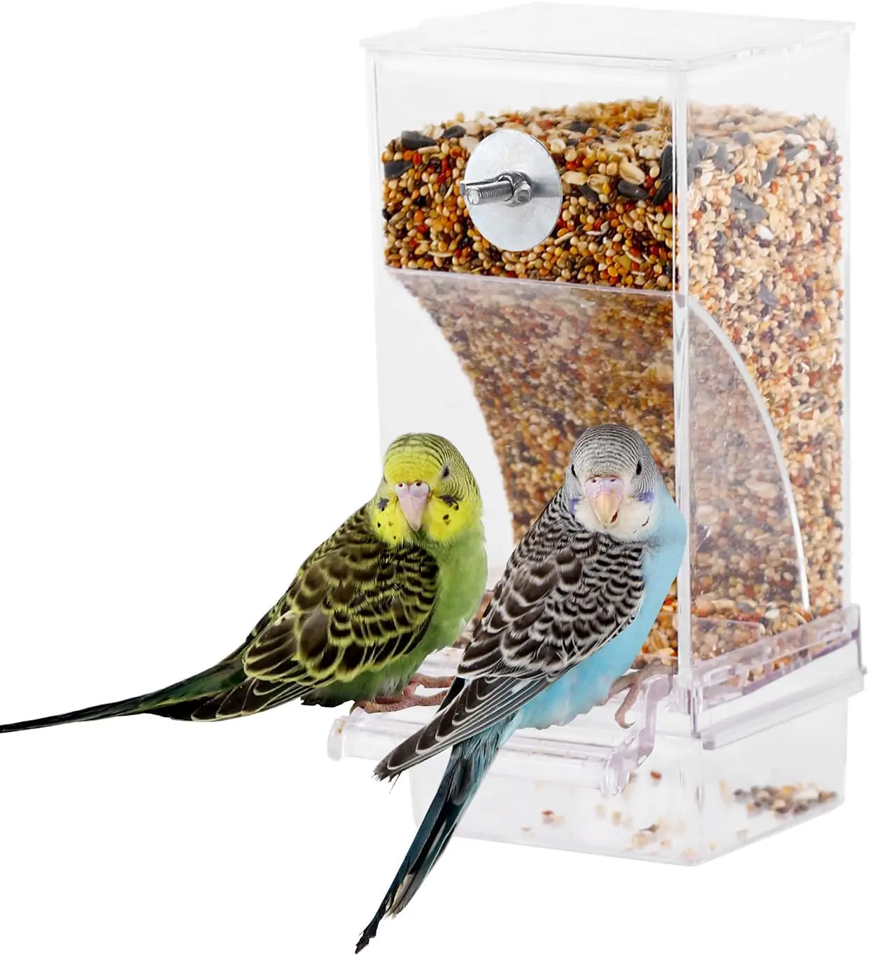 Automatic Transparent Bird Feeder Dispenser 2