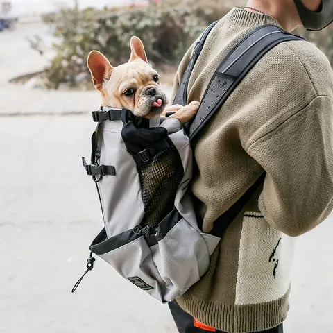 Hunde-Tragerucksack