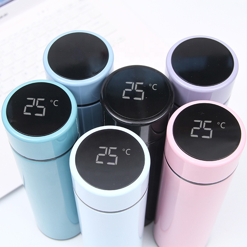 17oz Smart Water Bottle With LED Temperature Display