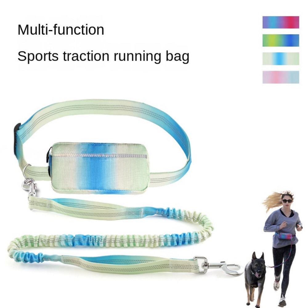 Freihändige Hundeleine zum Joggen