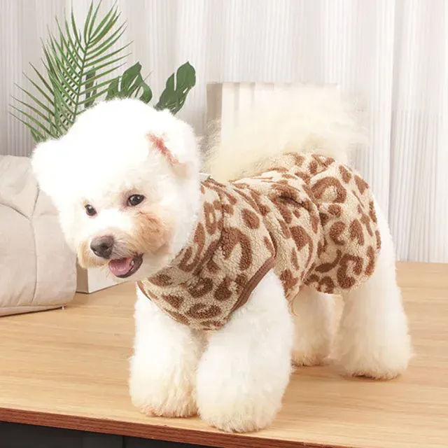 Dog Dress 4