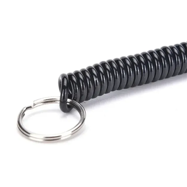 Spiral Keychain 3