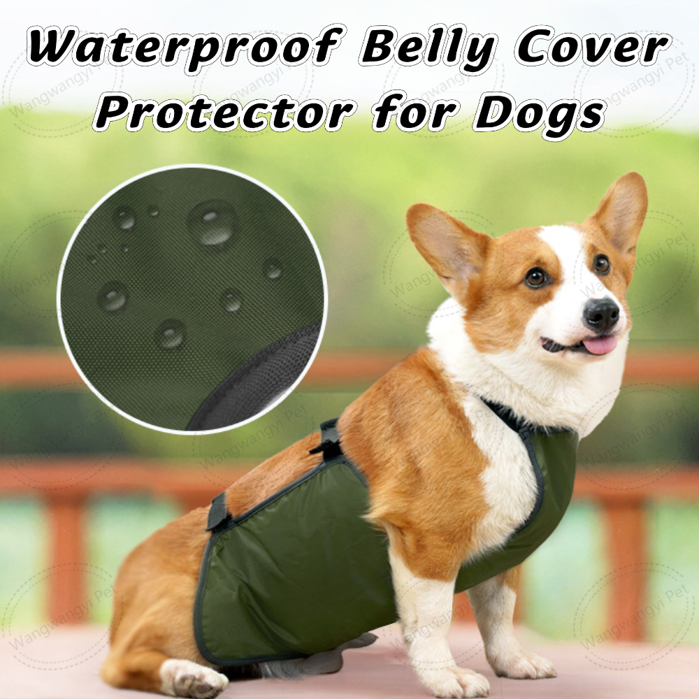 Verstellbarer Bauchschutz für Dackel und Corgis 2